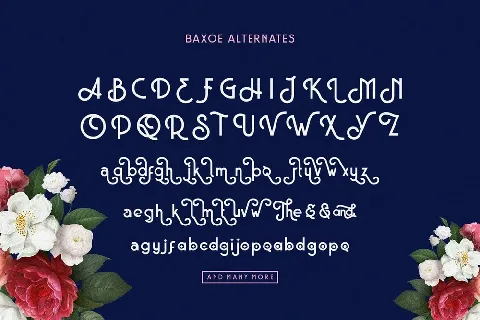 Baxoe Sans Fancy Typeface font