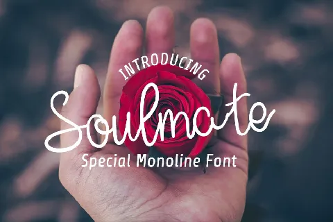 Soulmate Typeface font