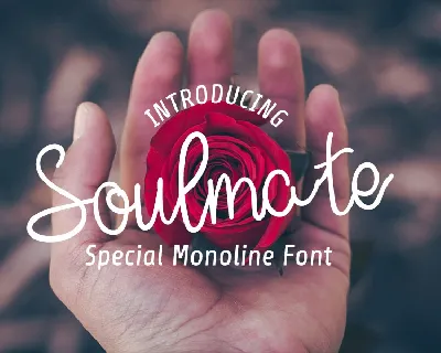 Soulmate Typeface font