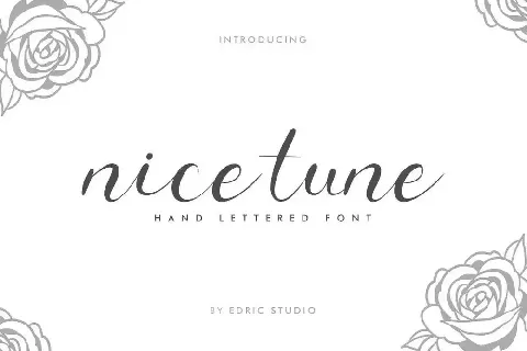 Nice Tune Demo font