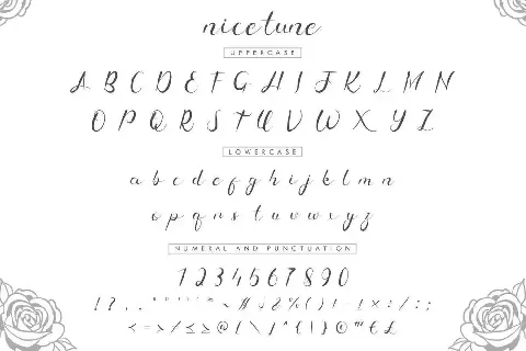 Nice Tune Demo font