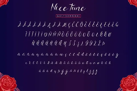 Nice Tune Demo font