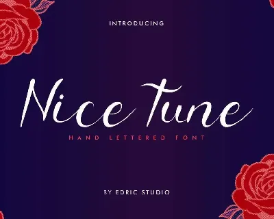 Nice Tune Demo font