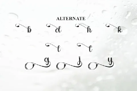 Rainday Script font