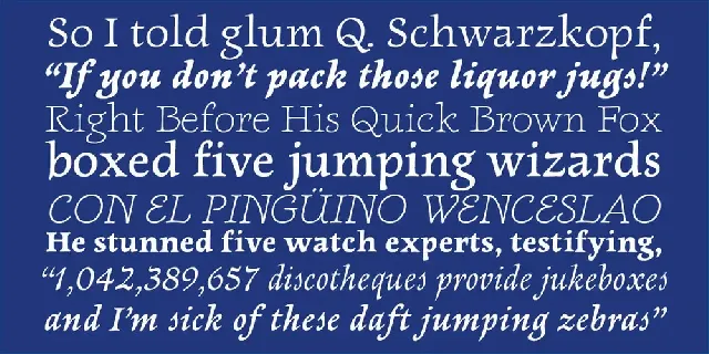 Newt Serif font