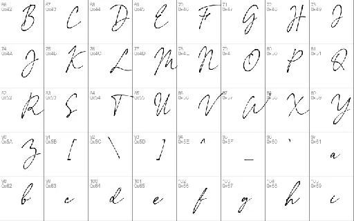 The Expressions font