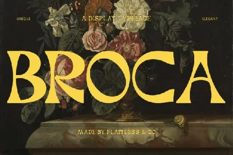 Broca font