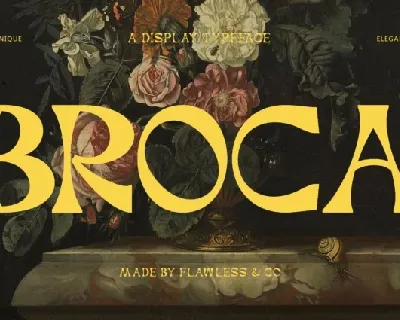 Broca font