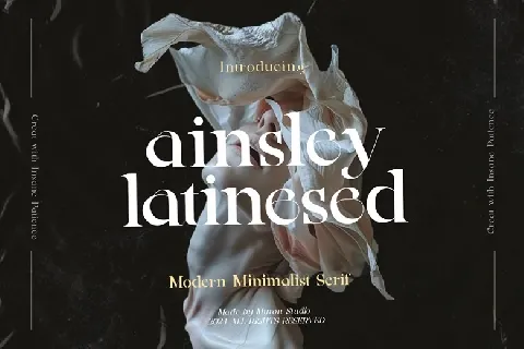 Ainsley Latinesed font