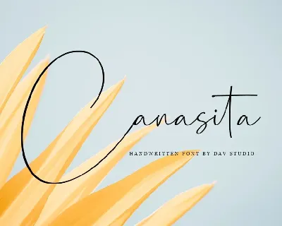 Canasita font