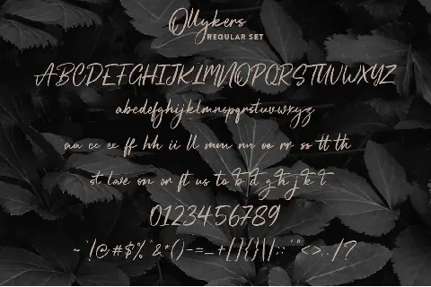 Ollykers font