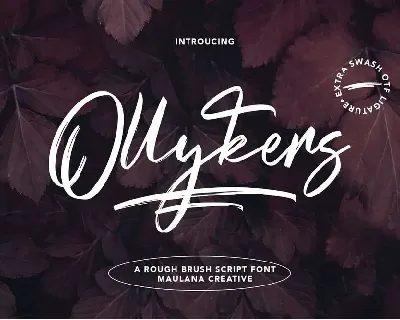 Ollykers font