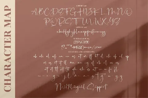 Senorita Signature font