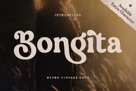 Bongita font