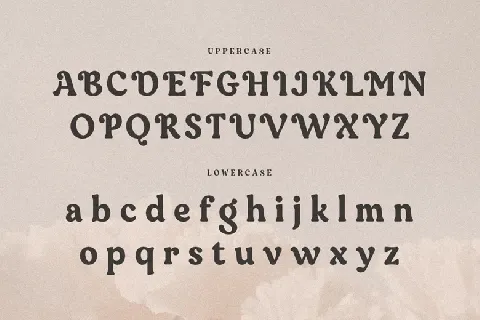 Bongita font