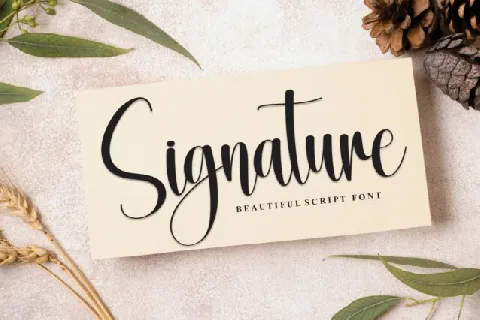 Grandma Calligraphy font