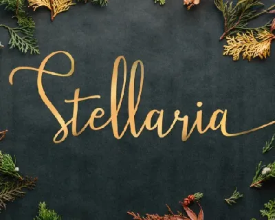 Stellaria Handwritten font