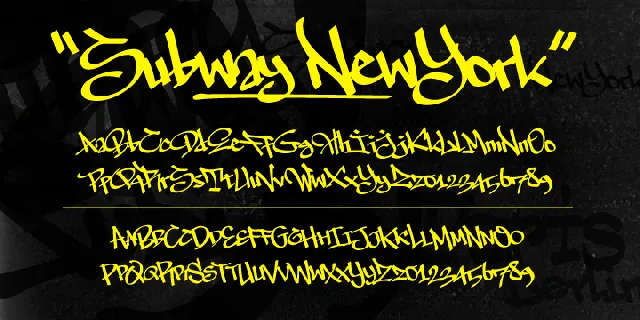 The Subway Types Family font