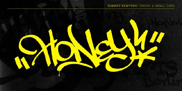 The Subway Types Family font