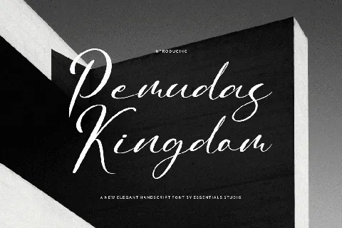 Pemudas Kingdom font