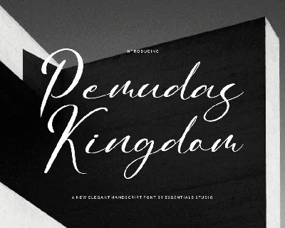 Pemudas Kingdom font