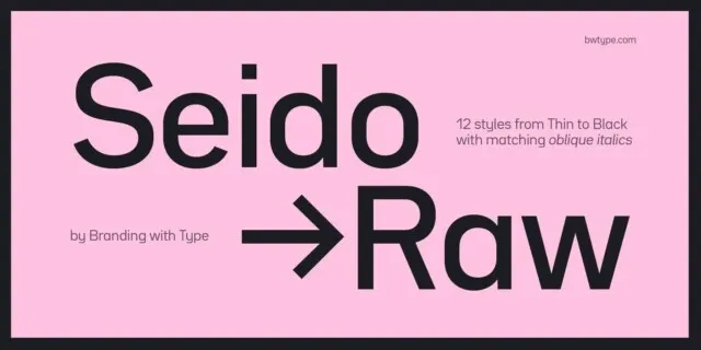 Bw Seido Raw Family font