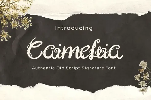 Caimellia font