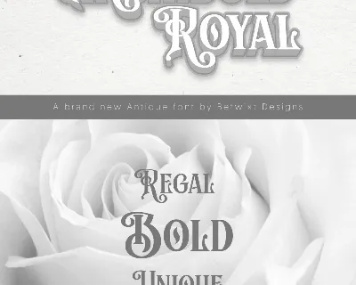 Archibold Royal Display font