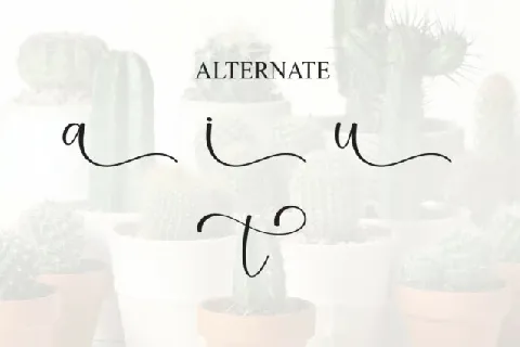 Cactus Calligraphy font