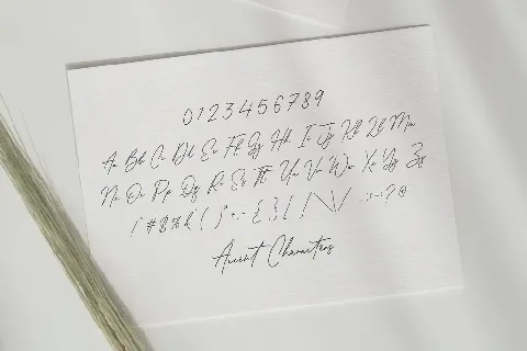Antonio Fischer Signature Monoline Script font