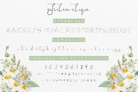 Ezhilan Aliqua Calligraphy font