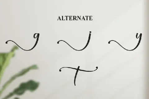 Something Calligraphy font