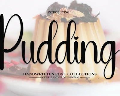 Pudding Script font