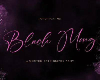 Black Ming font