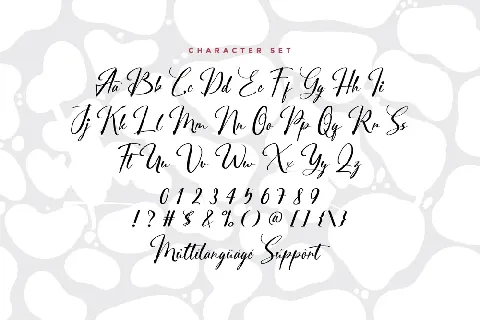 City Halle Demo font