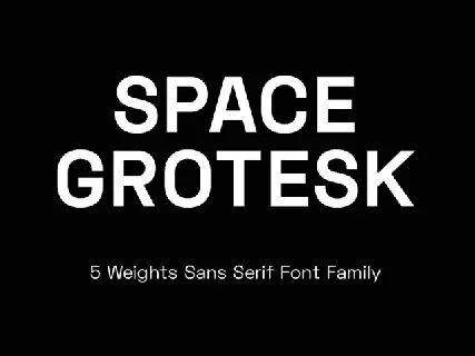 Space Grotesk Family font
