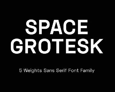 Space Grotesk Family font