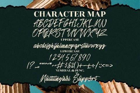 Sandershon font