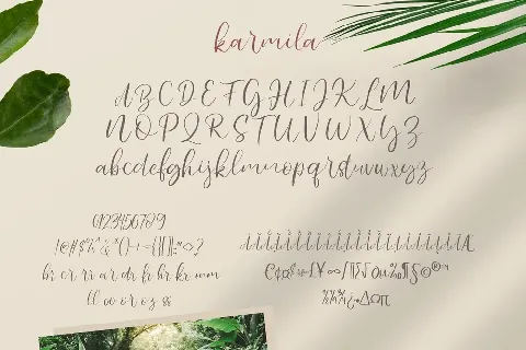 Karmila Handwritten Script font