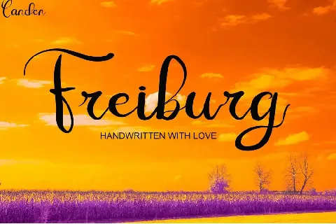 Freiburg font