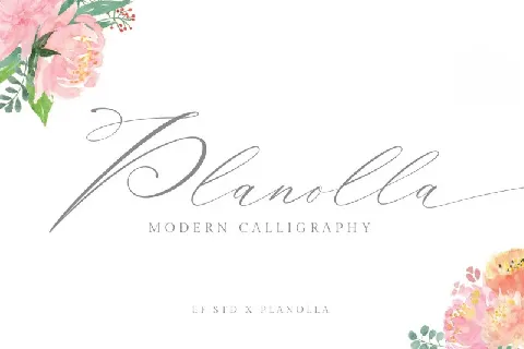 Planolla Calligraphy font