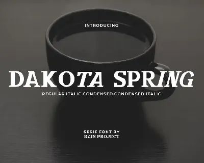 Dakota Demo font