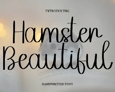 Hamster Beautiful font