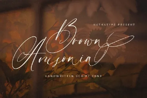 Brown Amsonia font