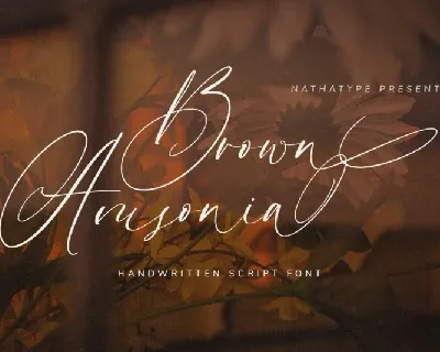 Brown Amsonia font