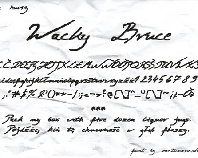 zai Wacky Bruce font