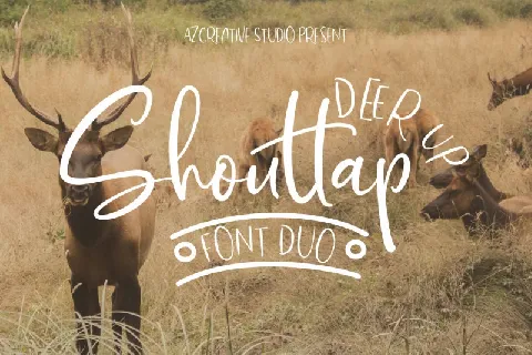 DeerUp Shouttap font