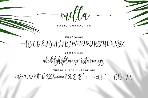 Mella Modern Calligraphy font