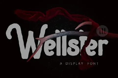 Wellster Handdrawn Typeface font