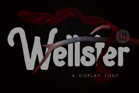 Wellster Handdrawn Typeface font